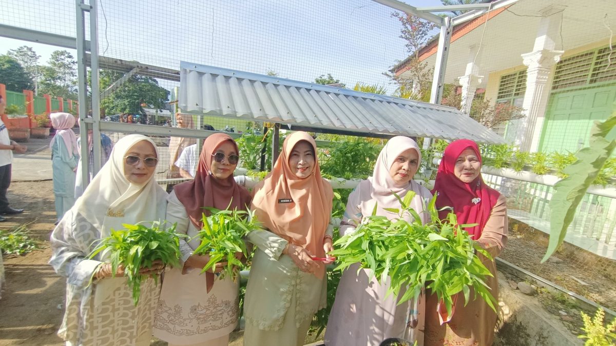 Lahan Sempit Bukan Penghalang, Dinas Pertanian Solok Buktikan Kantor Bisa Jadi Sumber Pangan