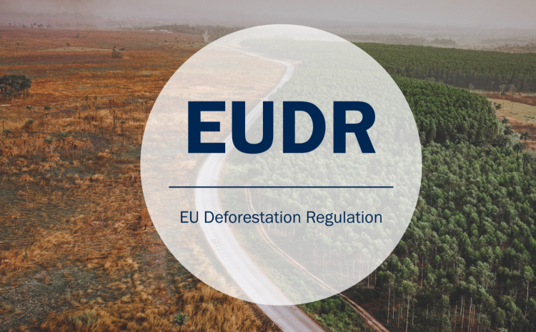 Regulasi EUDR: Jutaan Petani Indonesia Berada di Ujung Tanduk