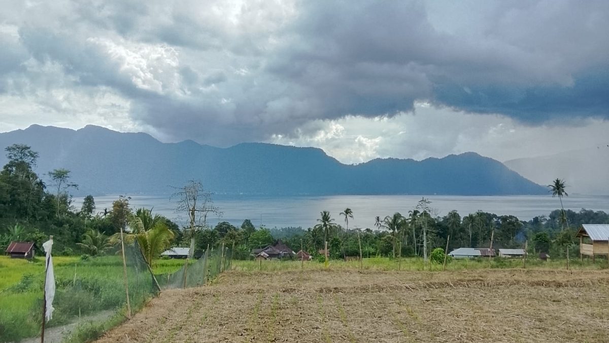 Bukan Belerang, Tapi Amoniak: Butuh 20 Tahun Pulihkan Danau Maninjau
