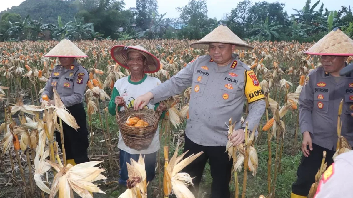 Ketahanan Pangan sebagai Pilar Stabilitas: Rasionalitas Peran Polri dalam Asta Cita