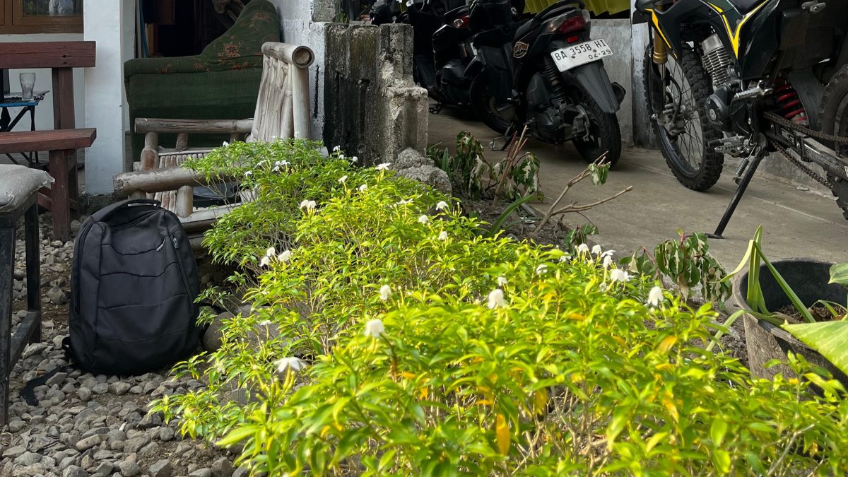 Nggak Pakai Tembok, Kantor Ini Bikin Pagar dari Melati Belanda