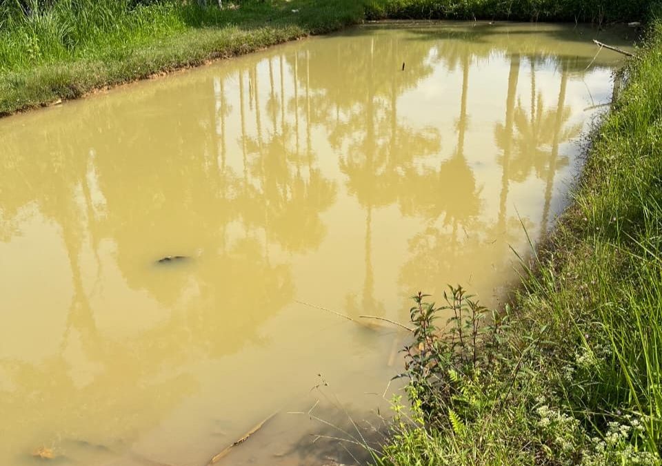 Inovasi Tata kelola air: Kolam Tadah Hujan Sokong Keberlanjutan Riset Pertanian UNAND