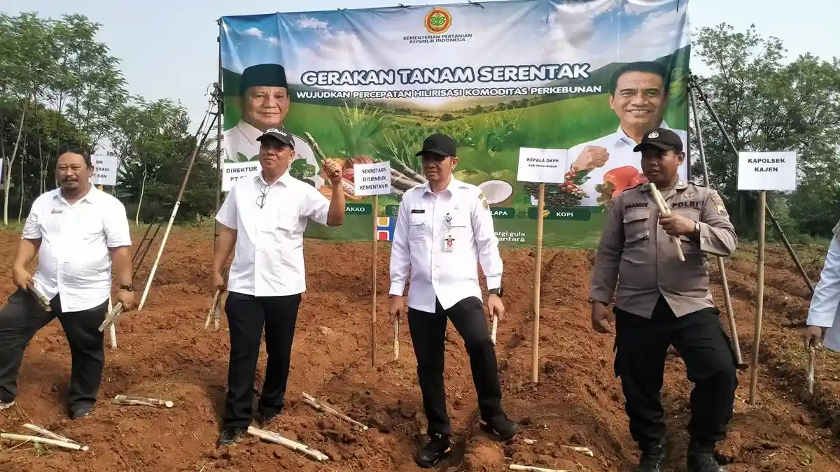 Genjot Swasembada Gula, Kementan dan Pemkab Pekalongan Gelar Gerakan Tanam Tebu Serentak