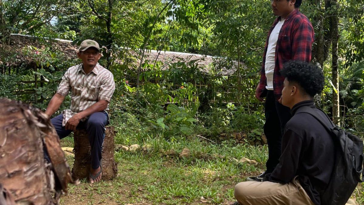 Daun sungkai di tangan Pak Rimbra