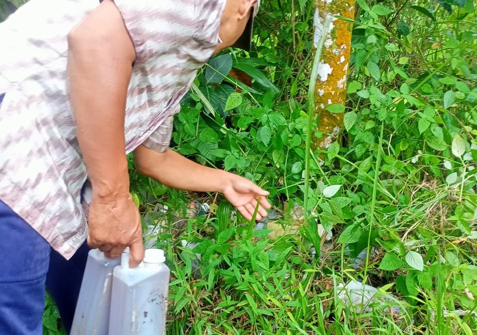 Eksperimen Pak Rimbra Ciptakan Pupuk Organiknya Sendiri