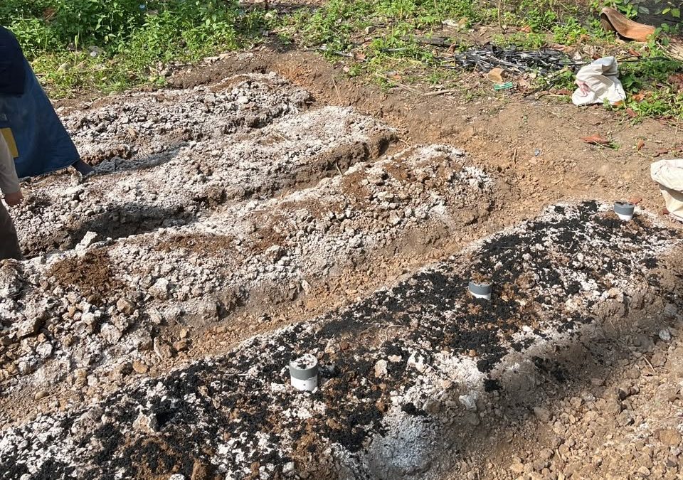 Mahasiswa KKN Unand Pulihkan Tanah Masam dengan Dolomit dan Biochar di Nagari Pematang Panjang