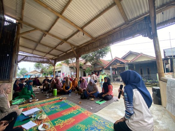 Petani