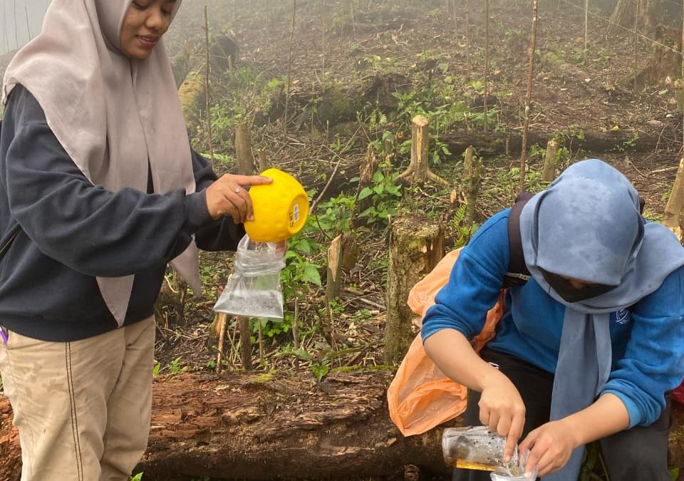 Hirilisasi Skripsi: Bukik Gompong Jadi Saksi Perjuangan Ica Temukan Ribuan Serangga Tanah